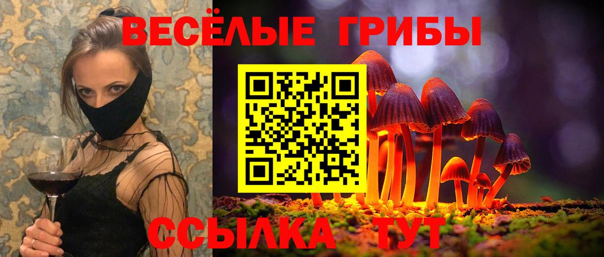 Кумертау  Псилоцибиновые грибы MAGIC MUSHROOMS  Вход с VPN 